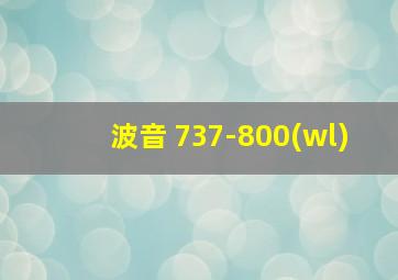 波音 737-800(wl)